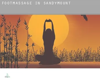 Foot massage in  Sandymount